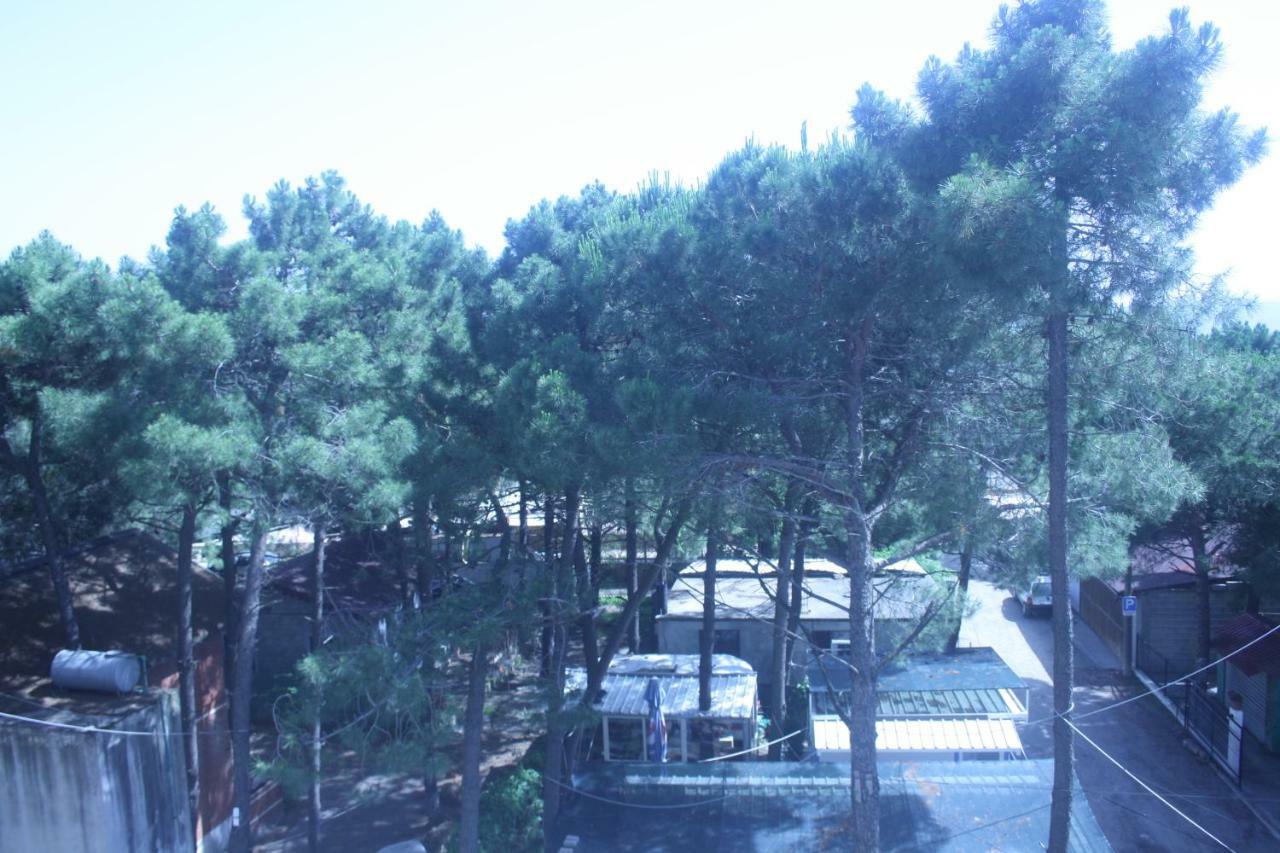 Hotel Temali 2 Velipojë 外观 照片